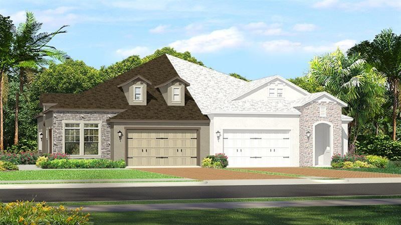 Photo of BELLAMY in Wesley Chapel, FL 33543