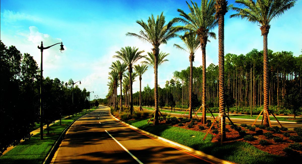 Photo of Cypress Trails at Nocatee : Cypress Trails - 60' Homesites in Ponte Vedra, FL 32081