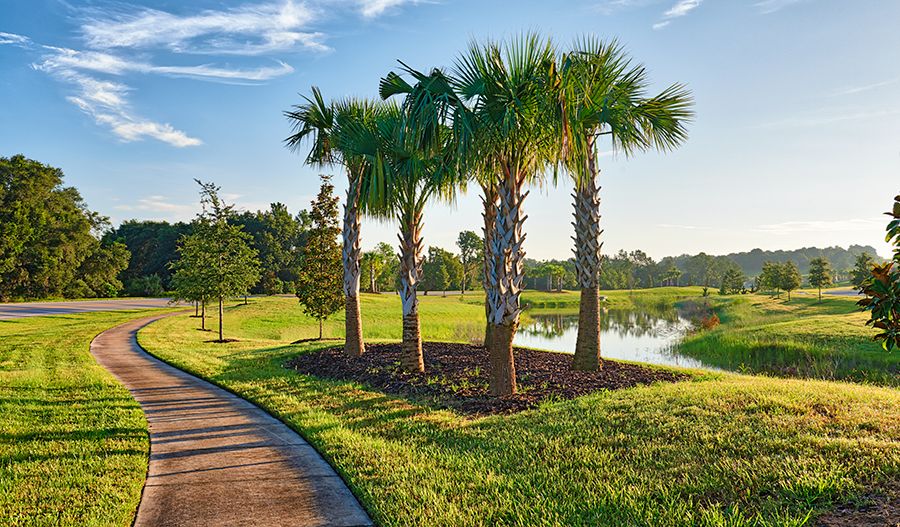 Photo of The Preserve at Sunrise in Groveland, FL 34736