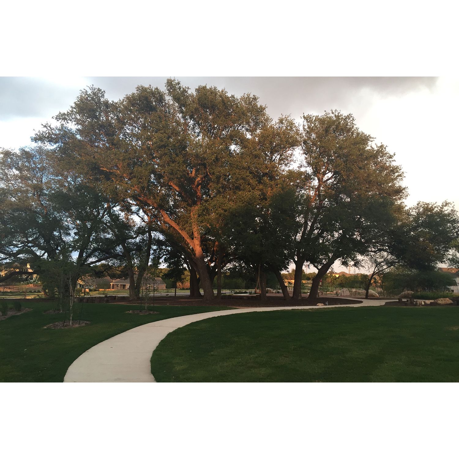 Wolf Ranch new homes in TX by M/I Homes