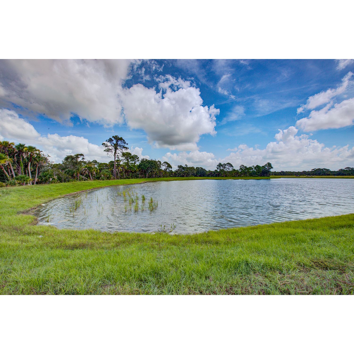 Photo of Oasis At West Villages in Lakewood Ranch, FL 34202