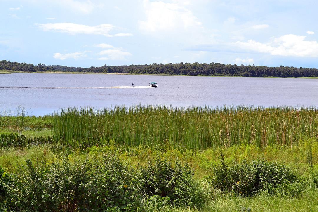 Photo of Hickory Hammock in Winter Garden, FL 34787