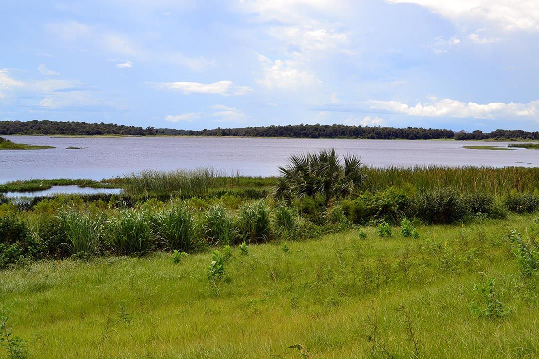 Photo of Hickory Hammock in Winter Garden, FL 34787