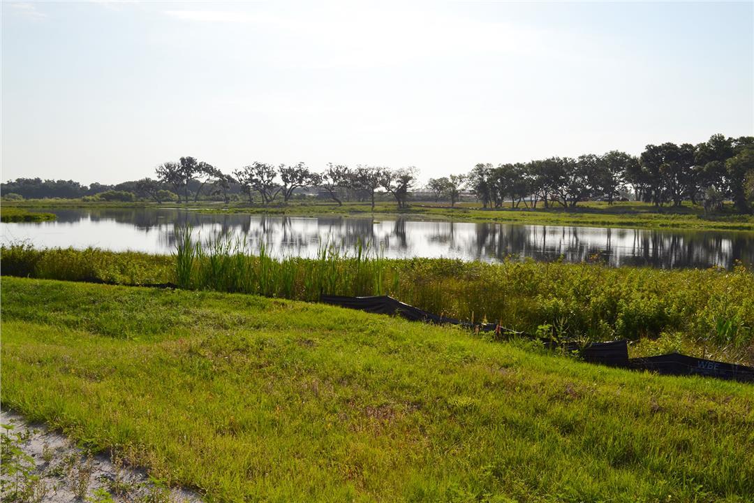 Photo of Hickory Hammock in Winter Garden, FL 34787