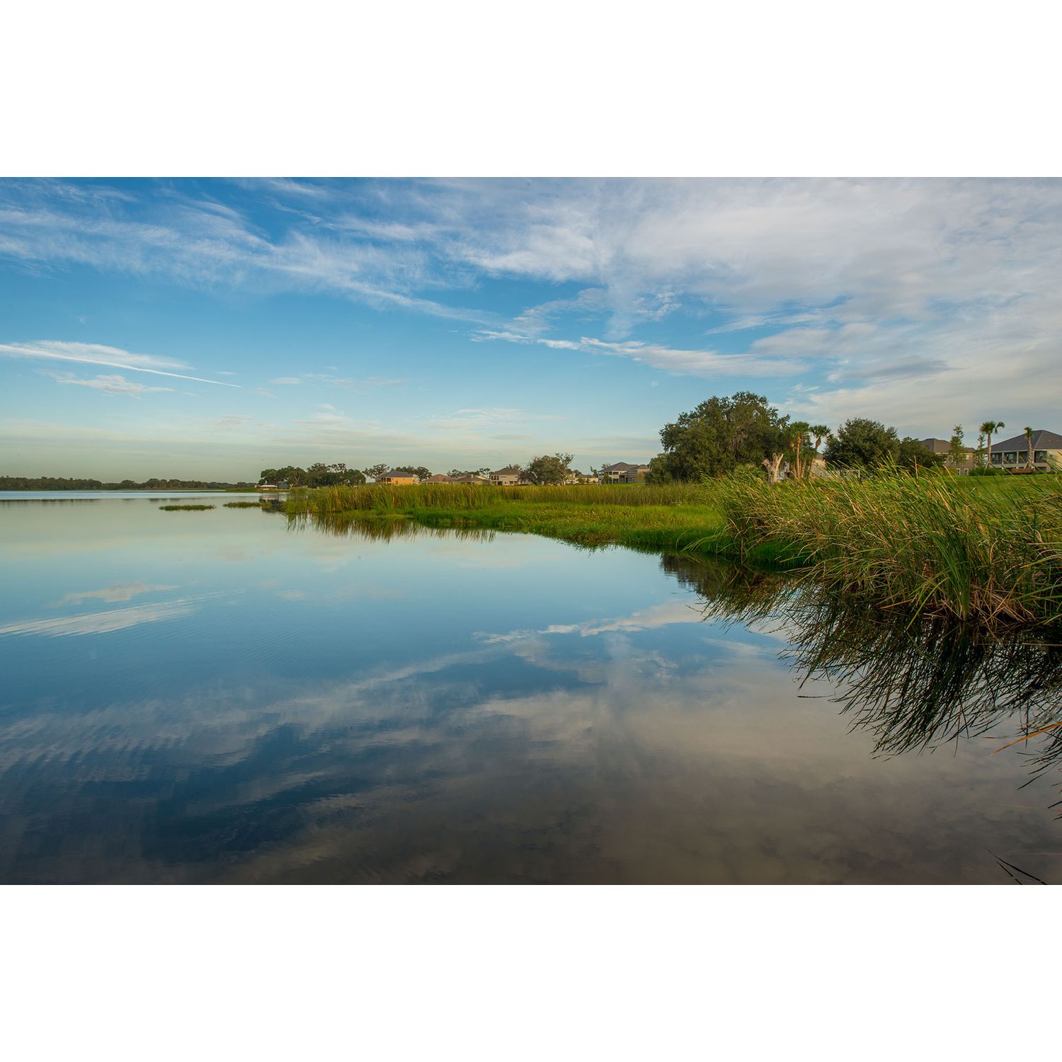 Photo of Hickory Hammock in Winter Garden, FL 34787