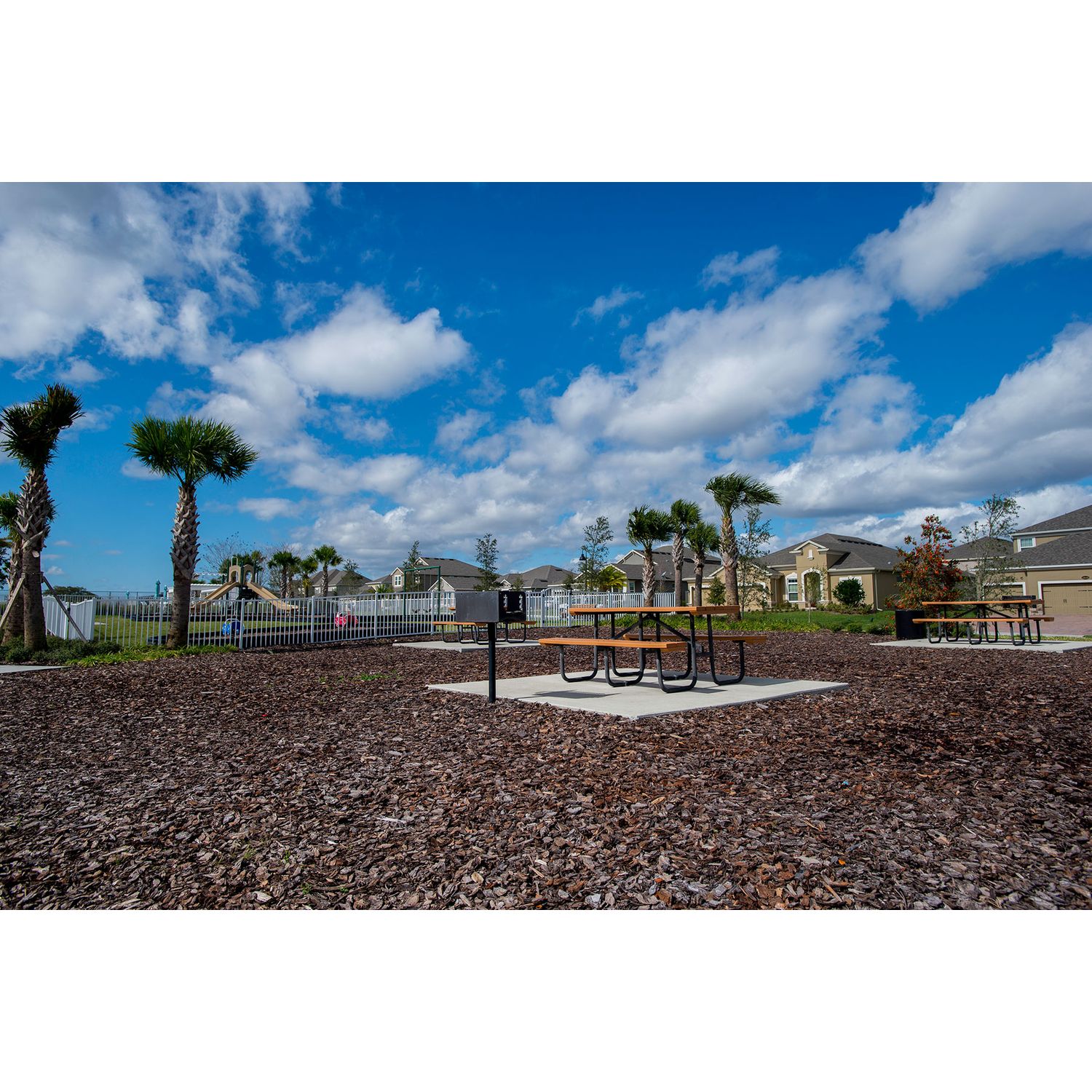 Photo of Hickory Hammock in Winter Garden, FL 34787