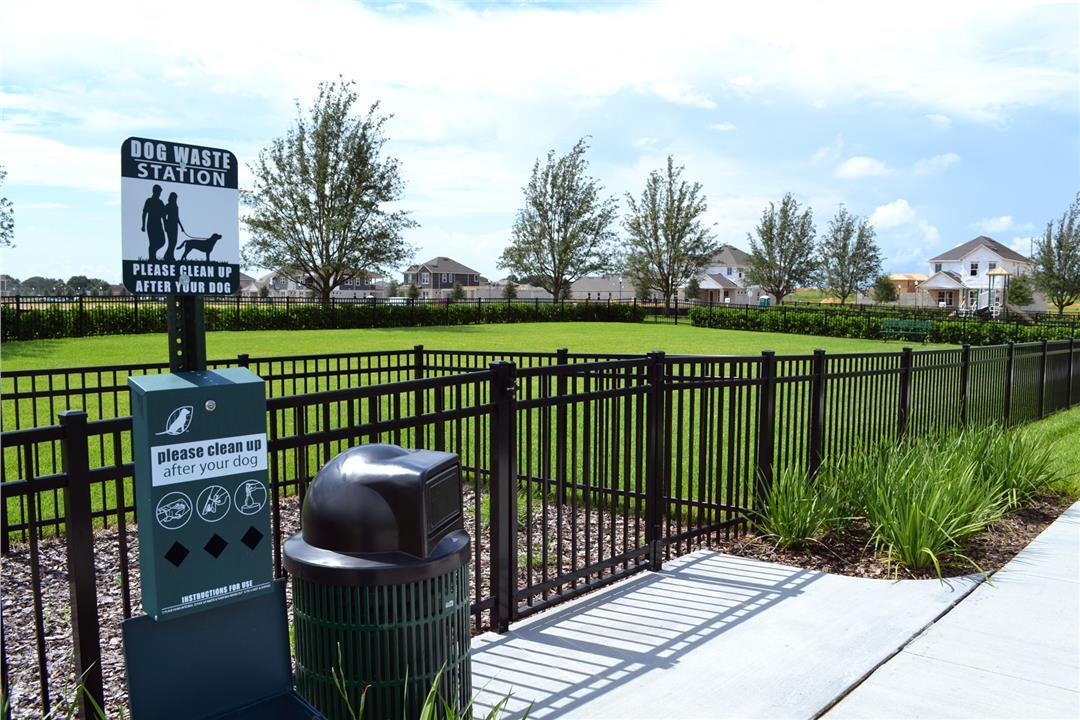 Photo of Summerlake Groves in Winter Garden, FL 34787