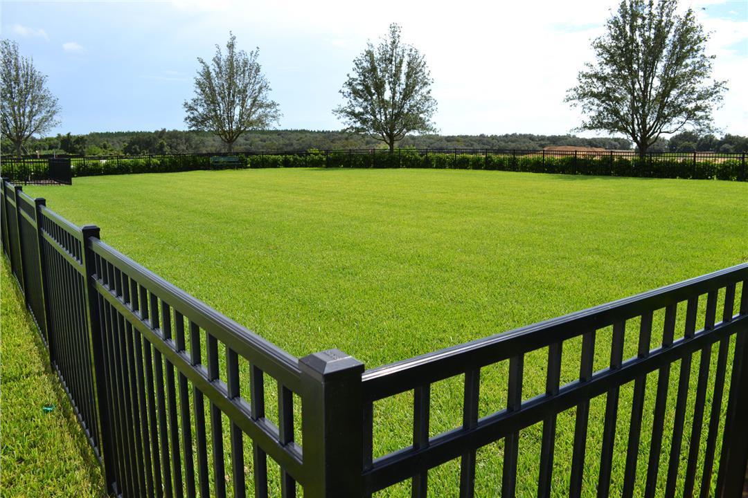 Photo of Summerlake Groves in Winter Garden, FL 34787