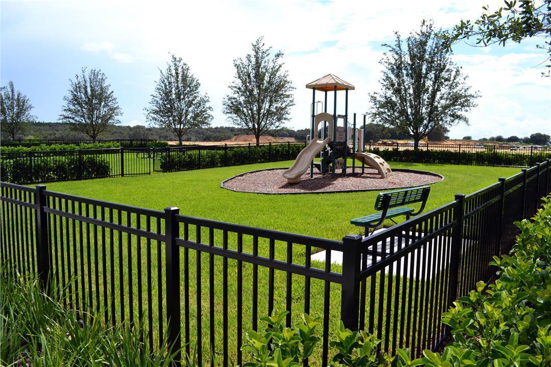 Photo of Summerlake Groves in Winter Garden, FL 34787