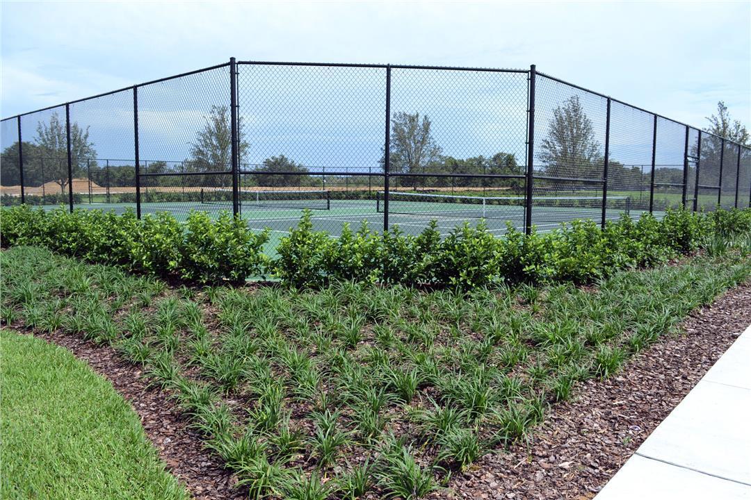 Photo of Summerlake Groves in Winter Garden, FL 34787