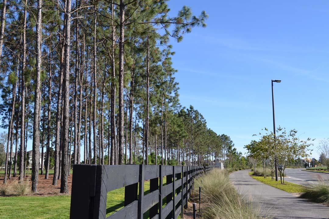 Photo of Summerlake Groves in Winter Garden, FL 34787