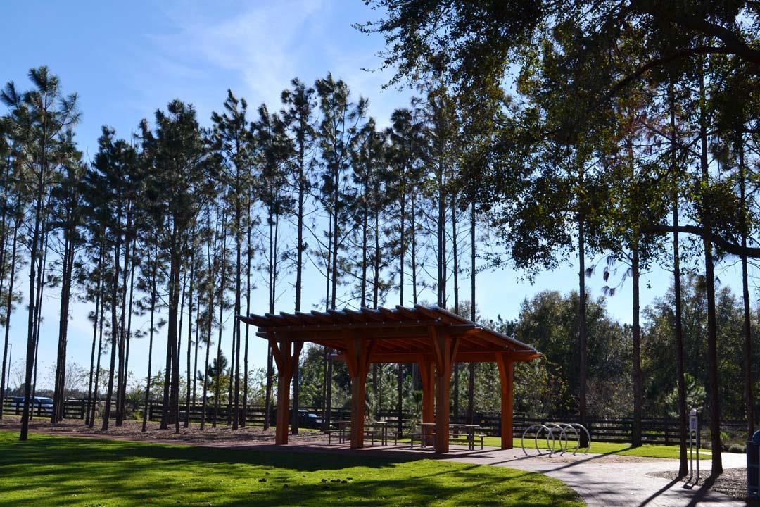 Photo of Summerlake Groves in Winter Garden, FL 34787