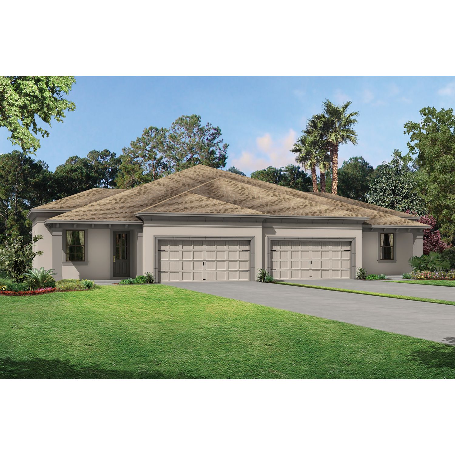 Photo of Collina in Tampa, FL 33647