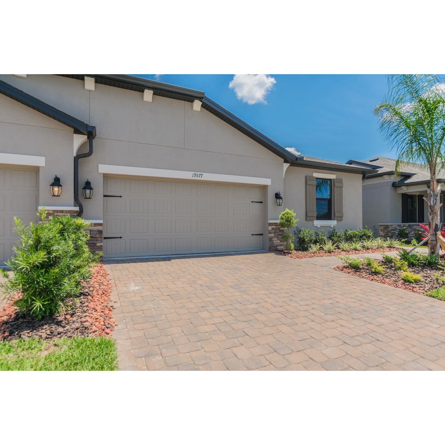 Photo of Campania in Tampa, FL 33647