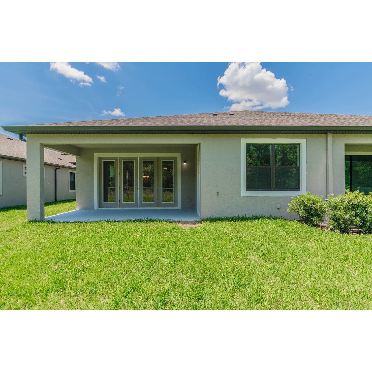 Photo of Campania in Tampa, FL 33647