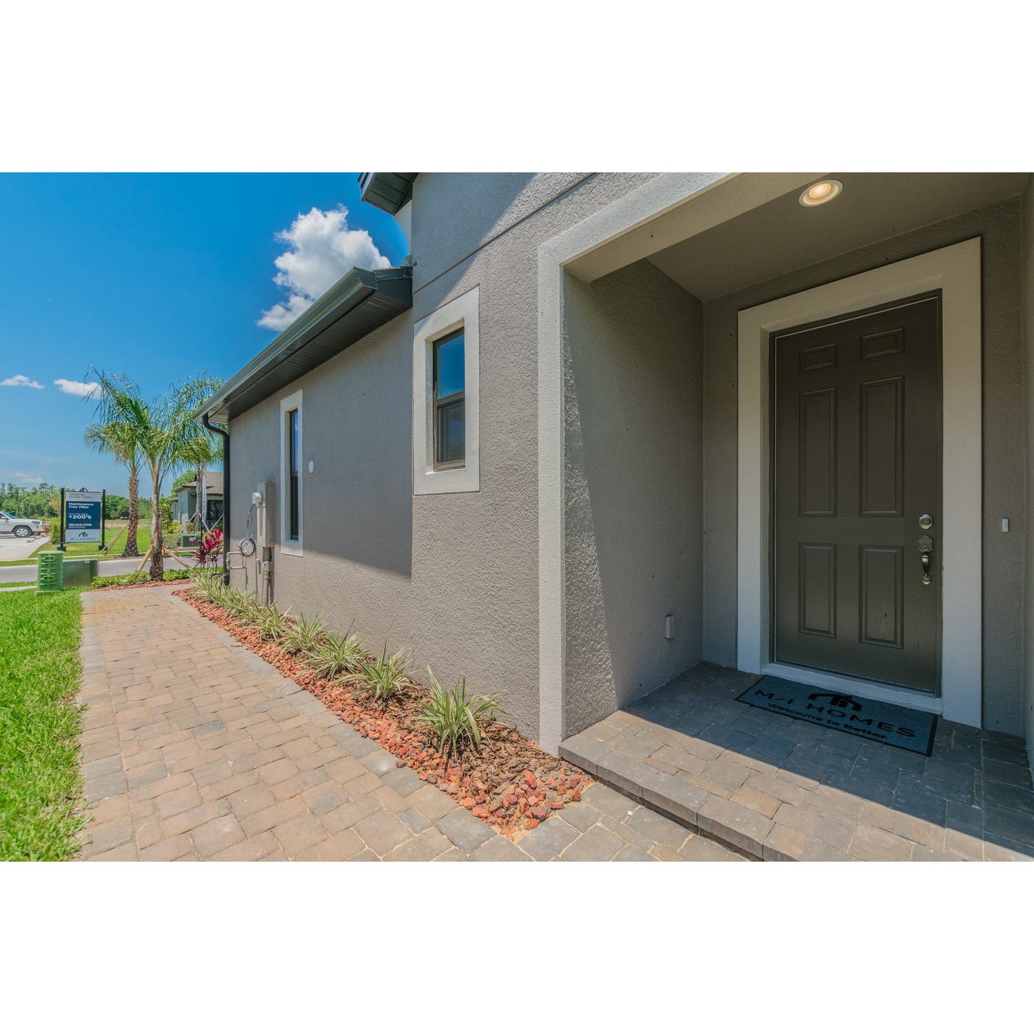 Photo of Campania in Tampa, FL 33647