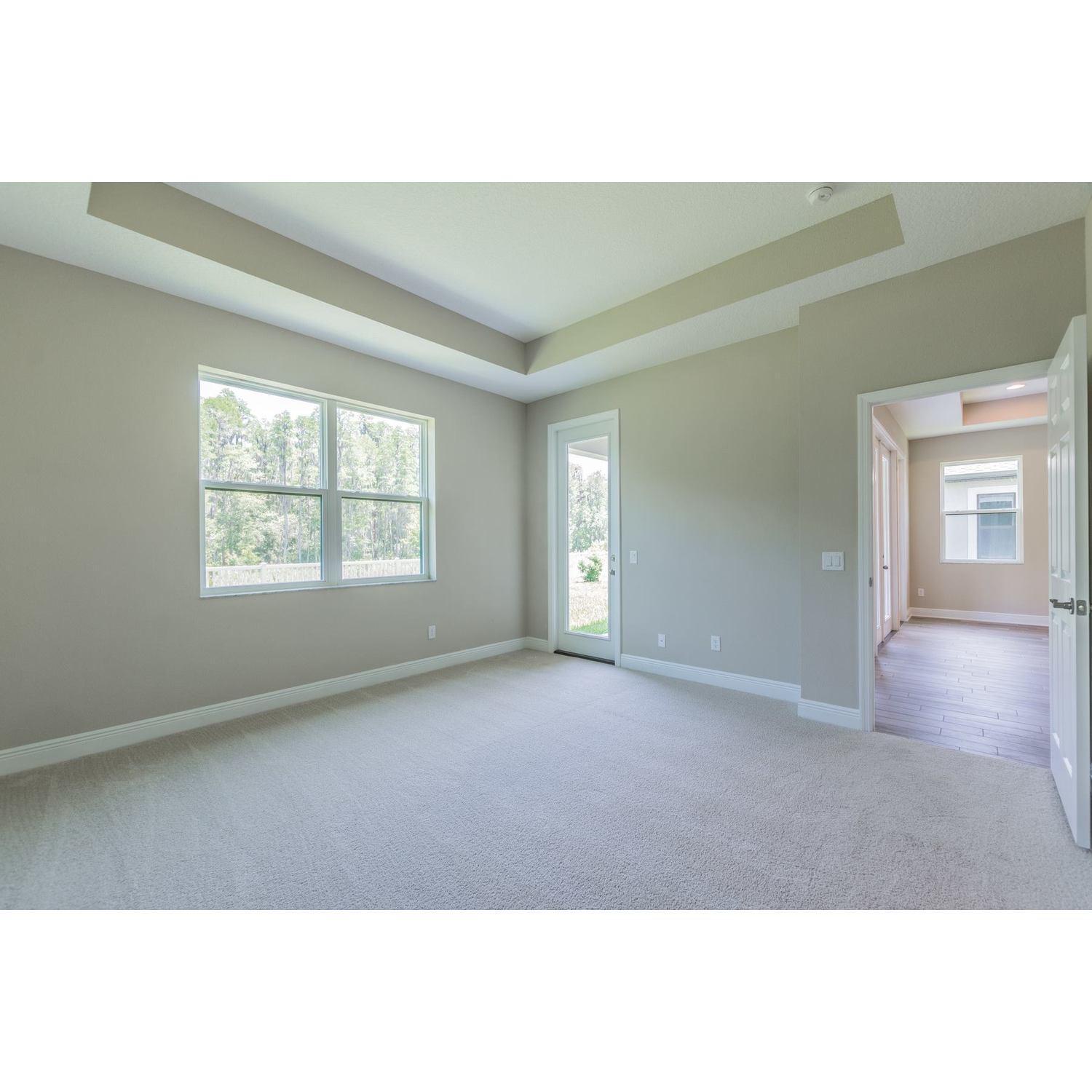 Photo of Campania in Tampa, FL 33647