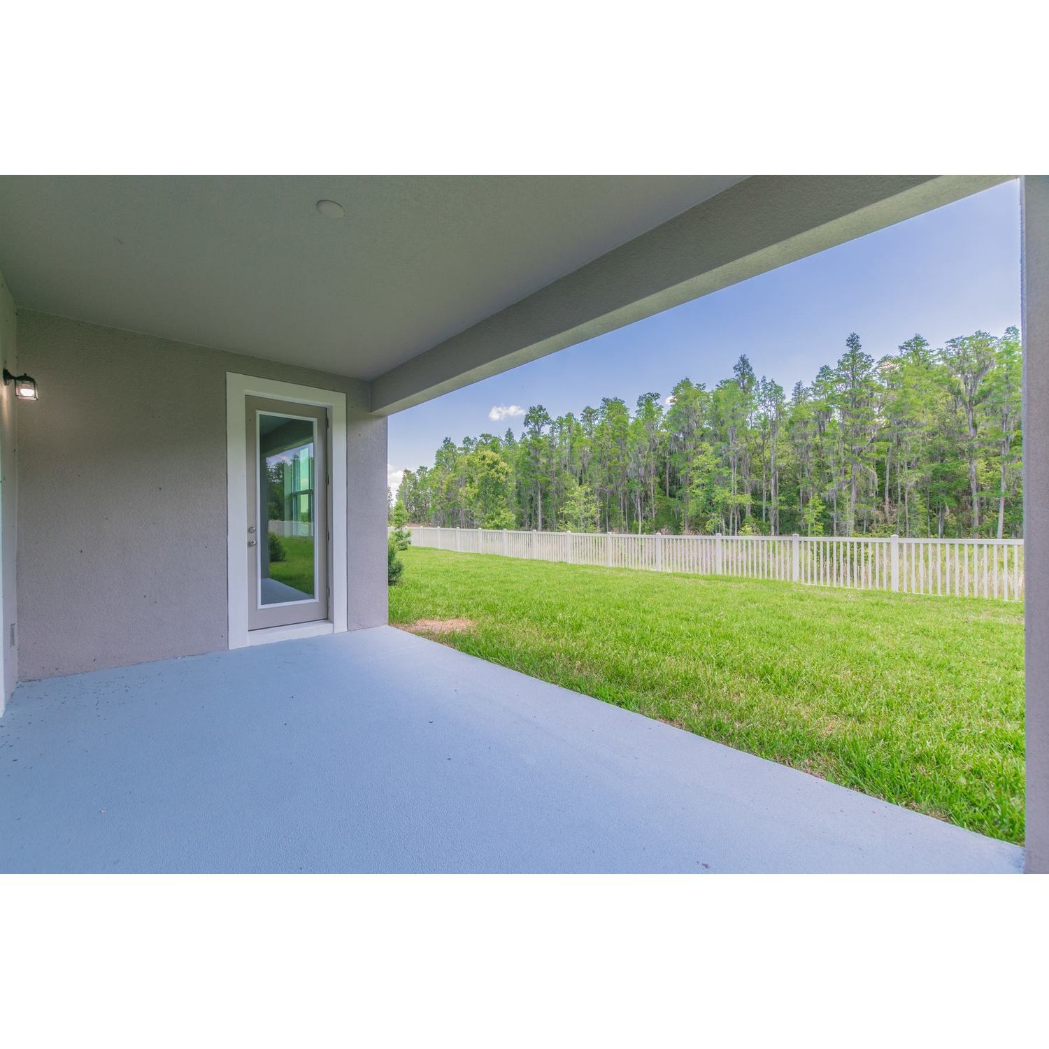 Photo of Campania in Tampa, FL 33647