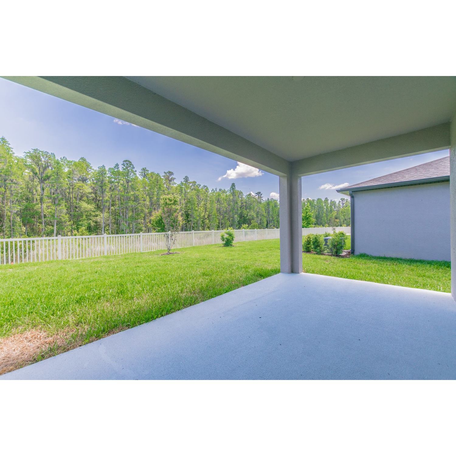Photo of Campania in Tampa, FL 33647