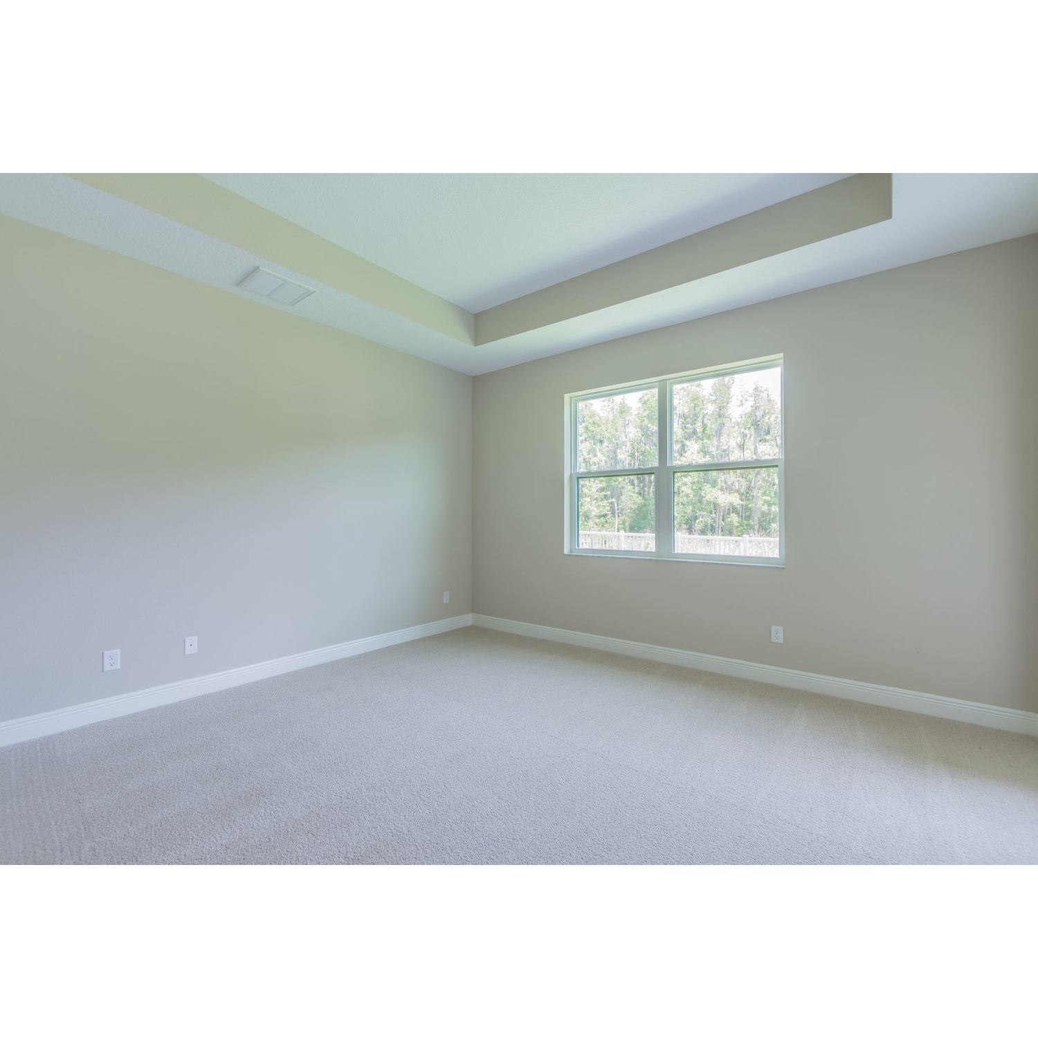 Photo of Campania in Tampa, FL 33647