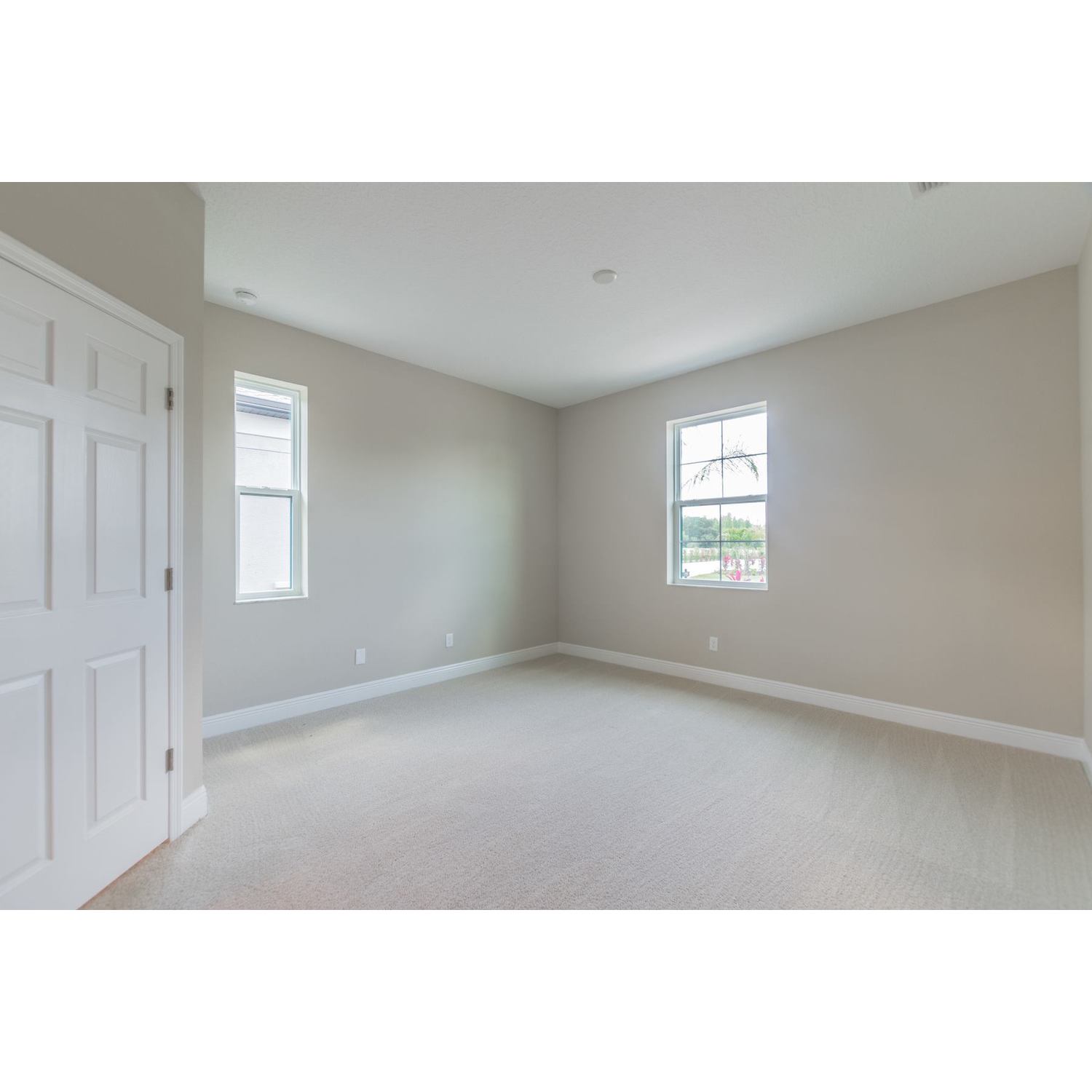 Photo of Campania in Tampa, FL 33647