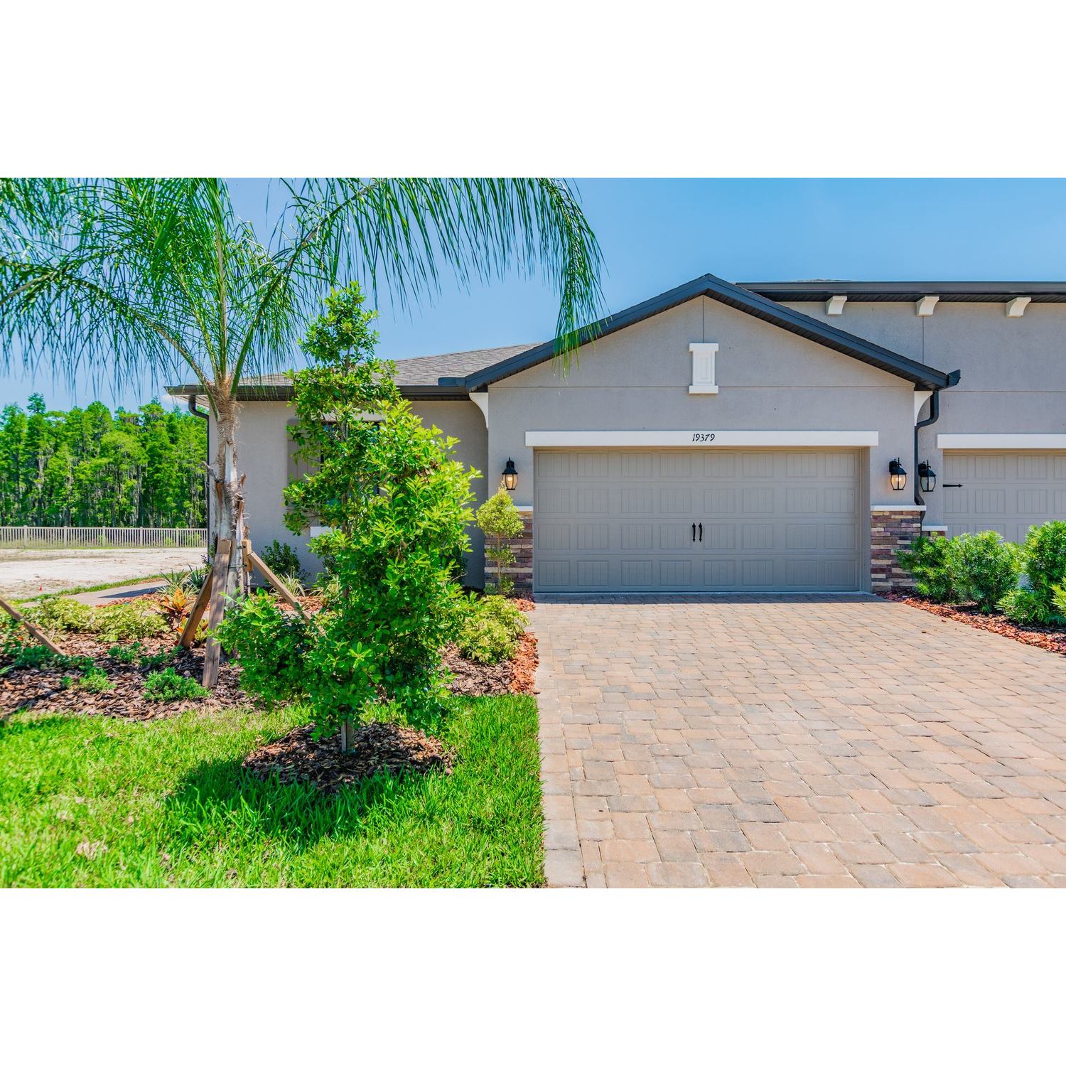Photo of Ravello in Tampa, FL 33647