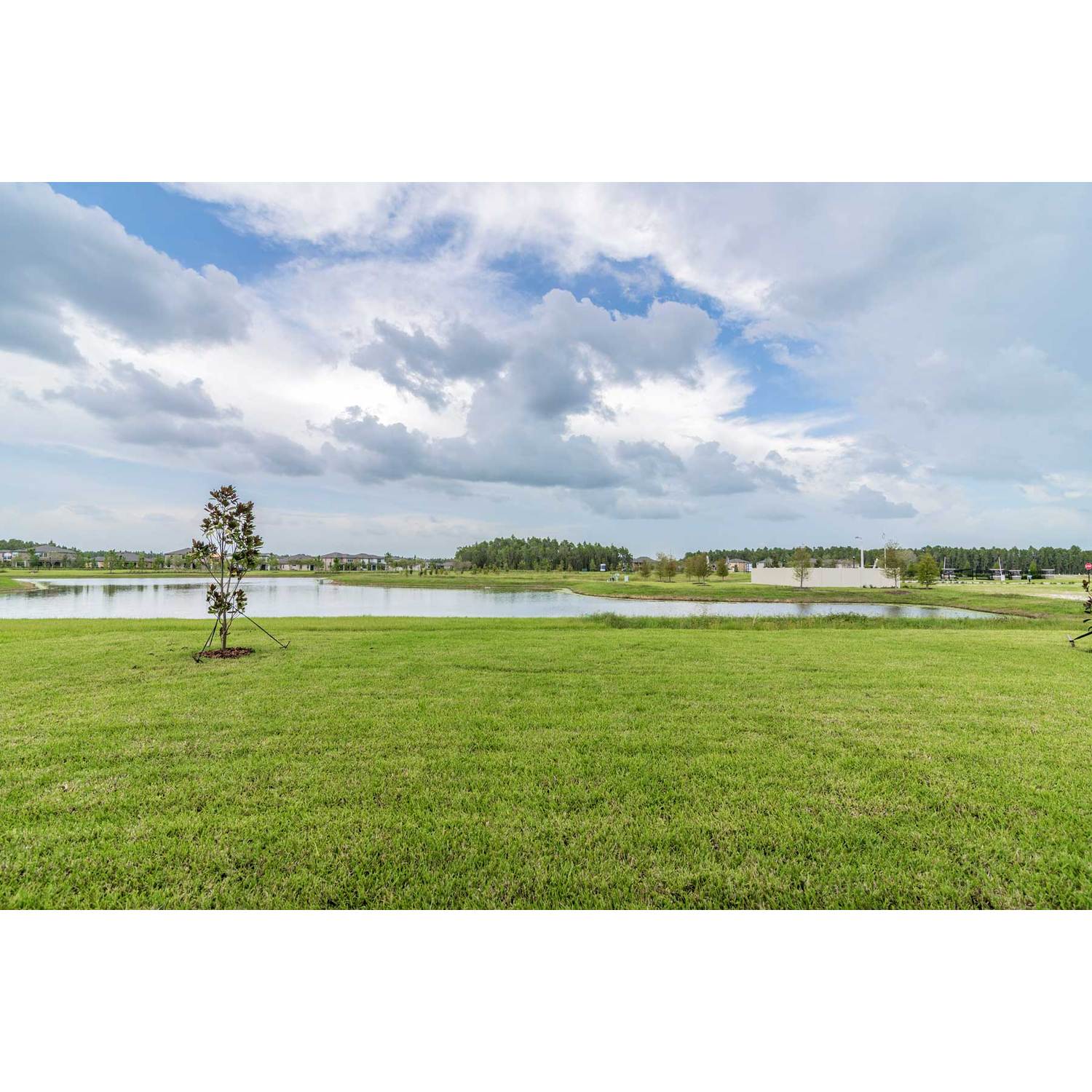 Photo of Grandshore II in Tampa, FL 33647