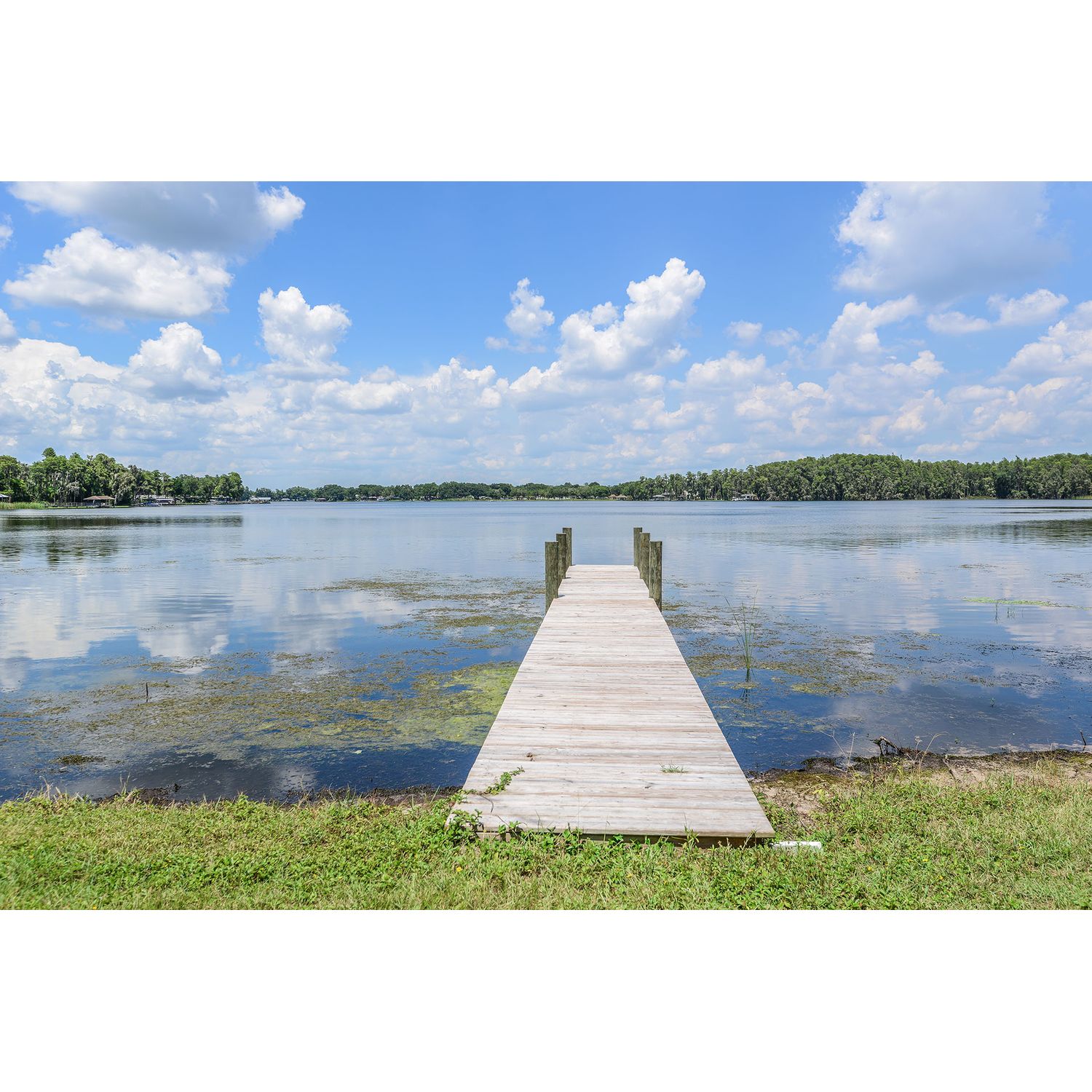 Photo of The Manors at Lake Padgett in Tampa, FL 33618