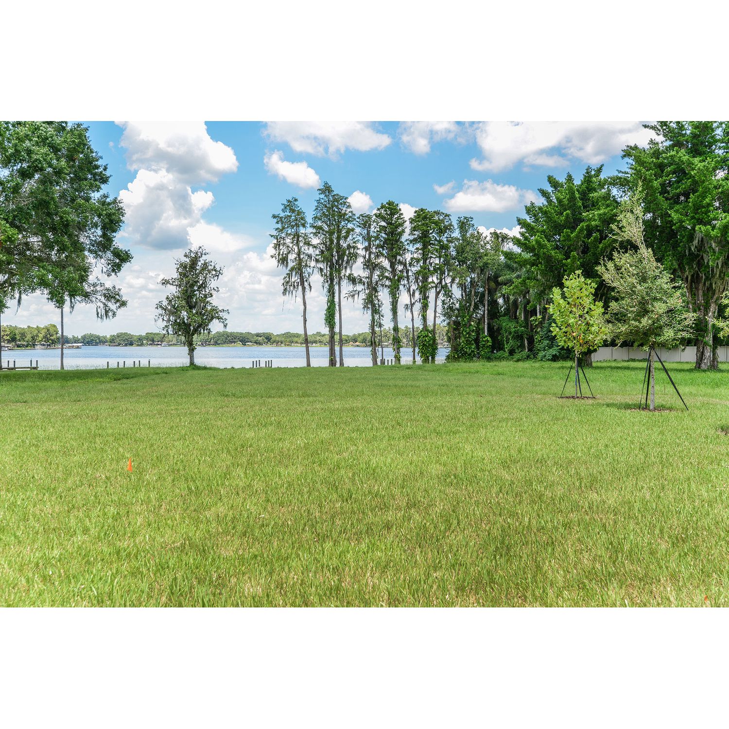 Photo of The Manors at Lake Padgett in Tampa, FL 33618