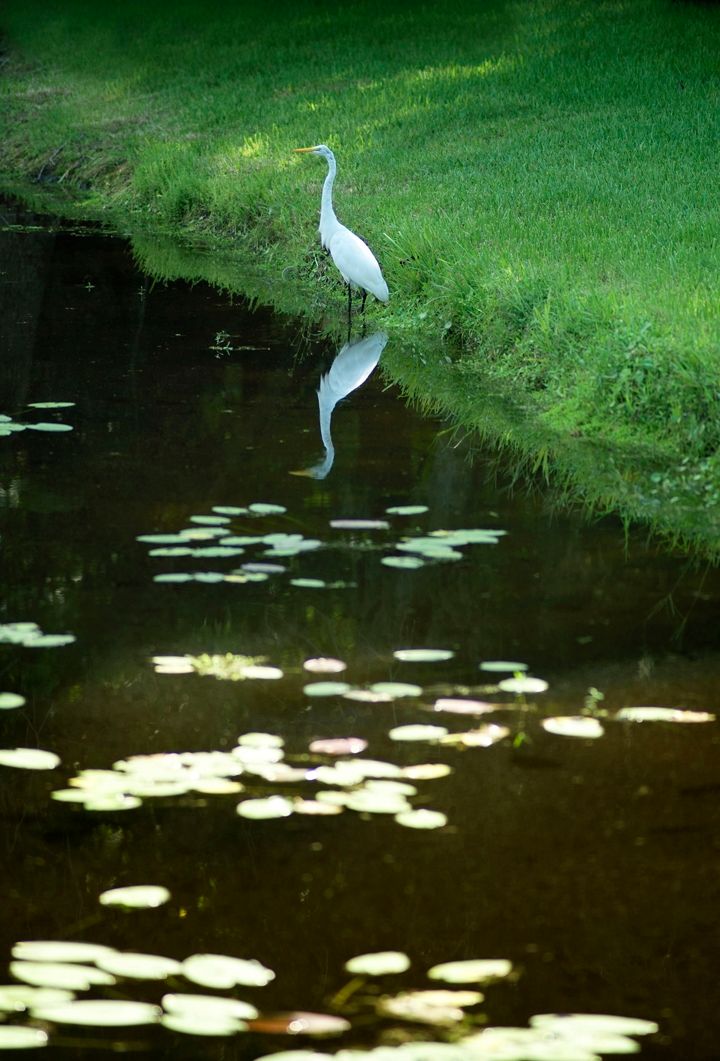Photo of Bassett Creek at K-Bar Ranch in Tampa, FL 33647
