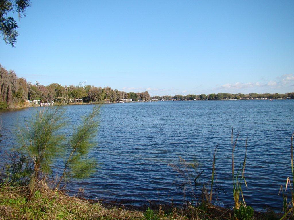 Photo of The Manors at Lake Padgett in Tampa, FL 33618