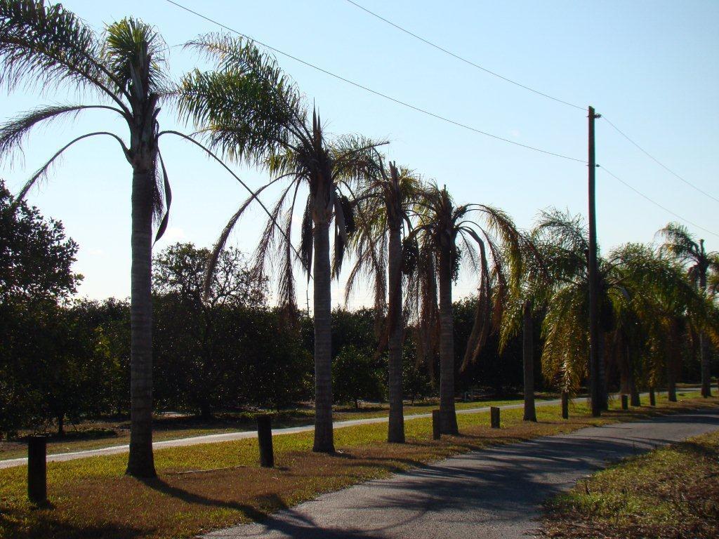 Photo of The Manors at Lake Padgett in Tampa, FL 33618