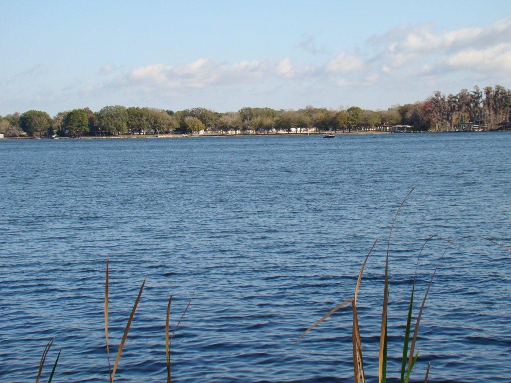 Photo of The Manors at Lake Padgett in Tampa, FL 33618