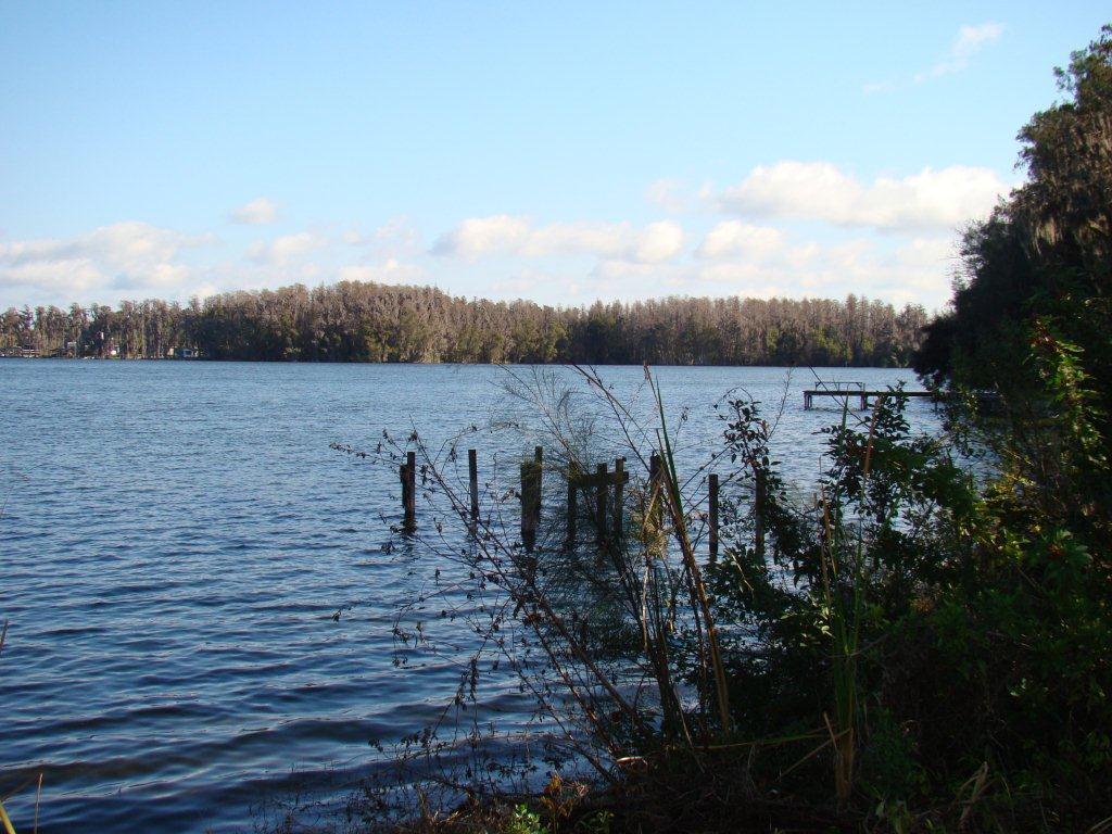 Photo of The Manors at Lake Padgett in Tampa, FL 33618