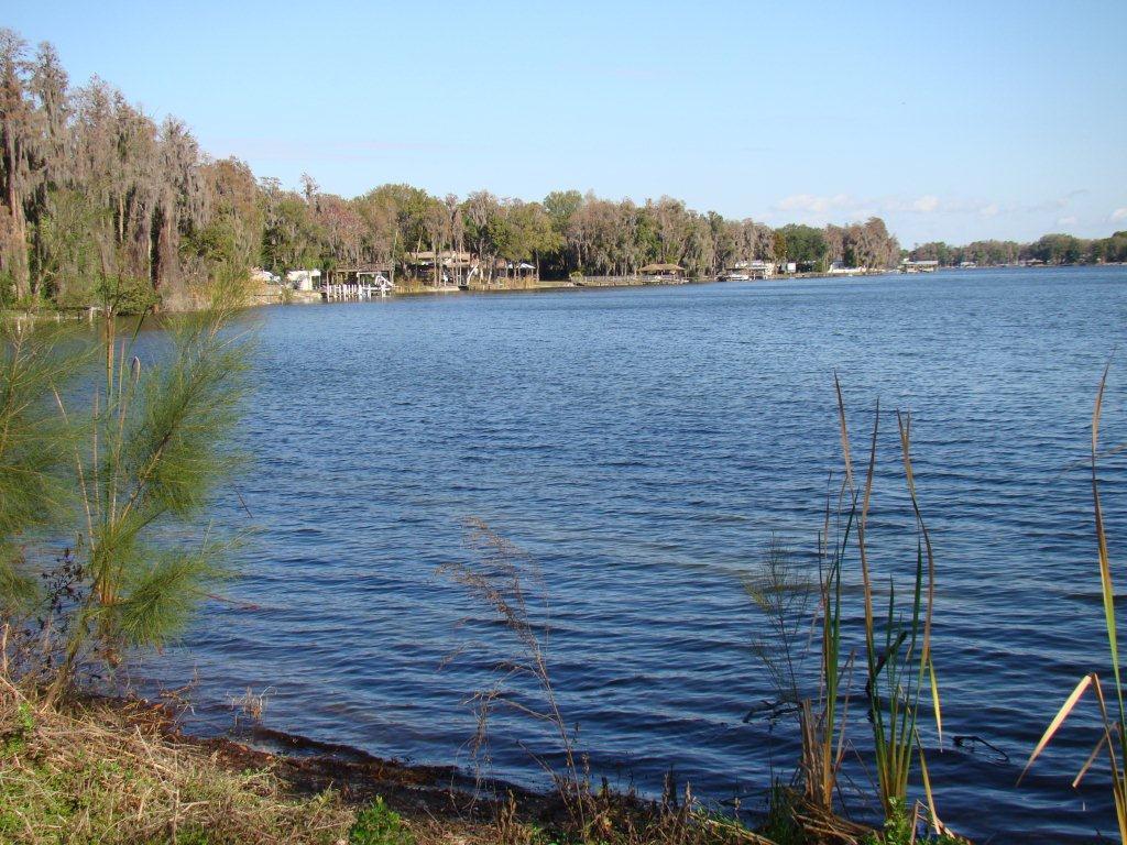 Photo of The Manors at Lake Padgett in Tampa, FL 33618