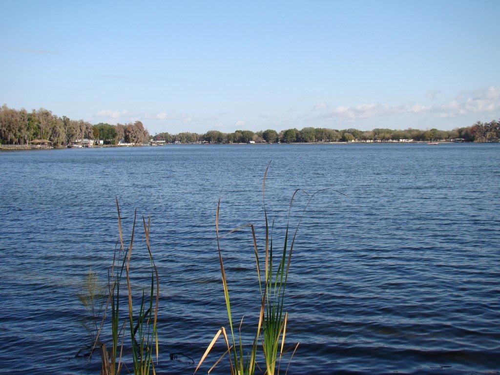 Photo of The Manors at Lake Padgett in Tampa, FL 33618