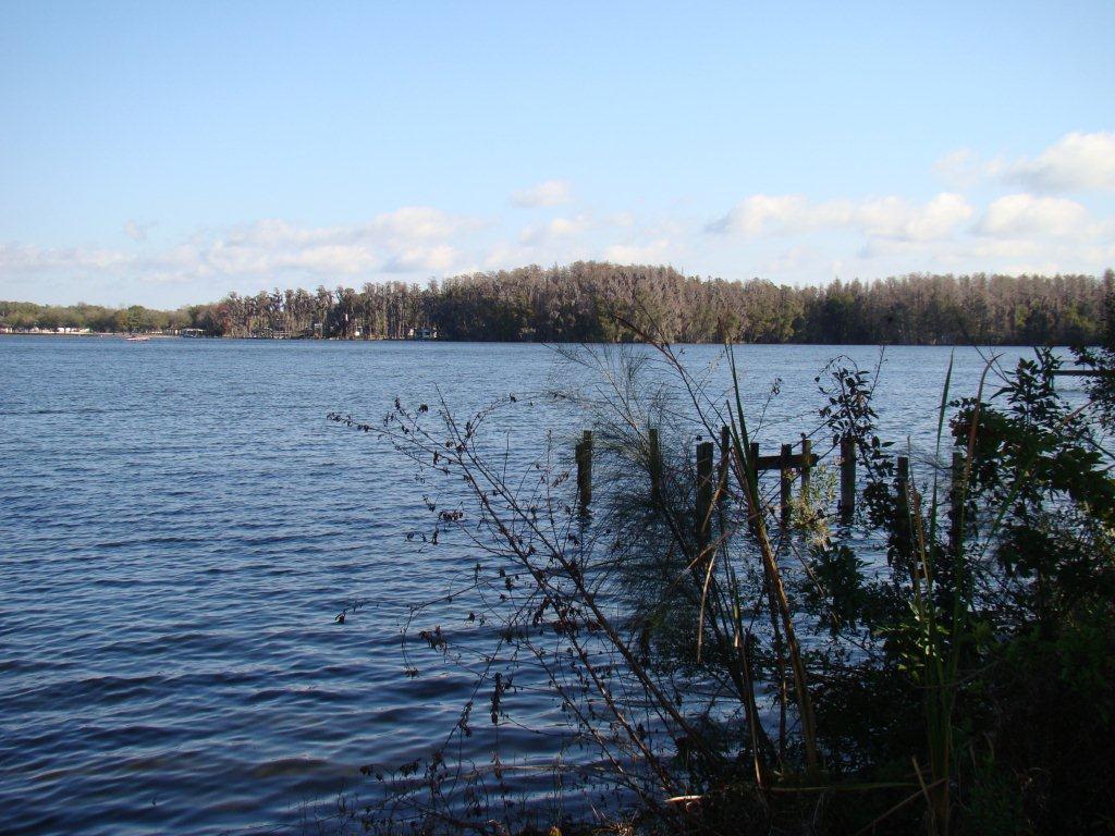 Photo of The Manors at Lake Padgett in Tampa, FL 33618