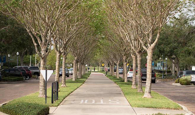 Photo of Hawksmoor in Winter Garden, FL 34787