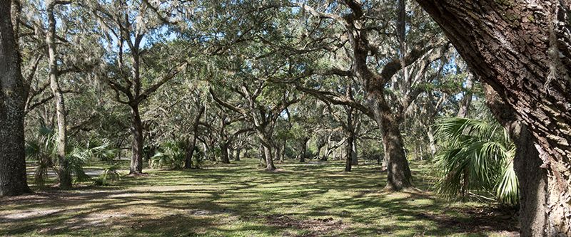 Photo of Randal Walk in Orlando, FL 32832