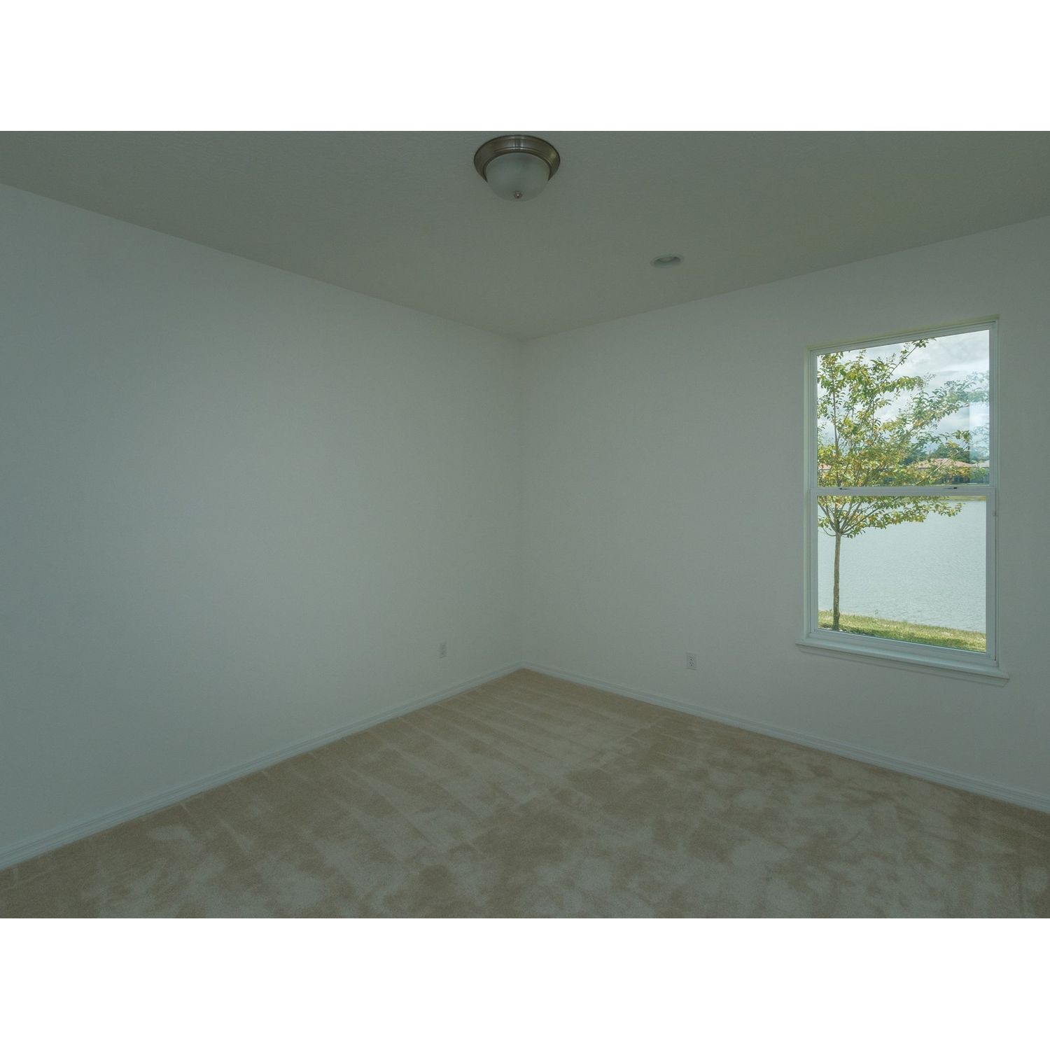 Photo of Palermo in Orlando, FL 32824