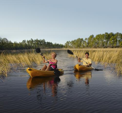 Photo of The Isles of Collier Preserve in Naples, FL 34113