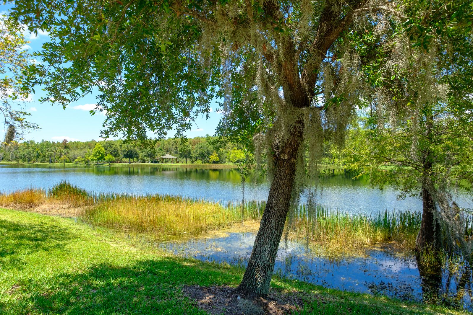 Photo of Creekside in Kissimmee, FL 34744