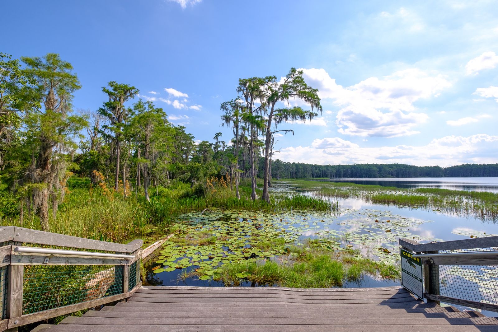 Photo of Serenoa in Clermont, FL 34714