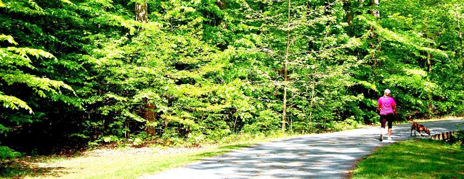 Photo of Magness Mill Townhomes and Villas in Bel Air, MD 21014