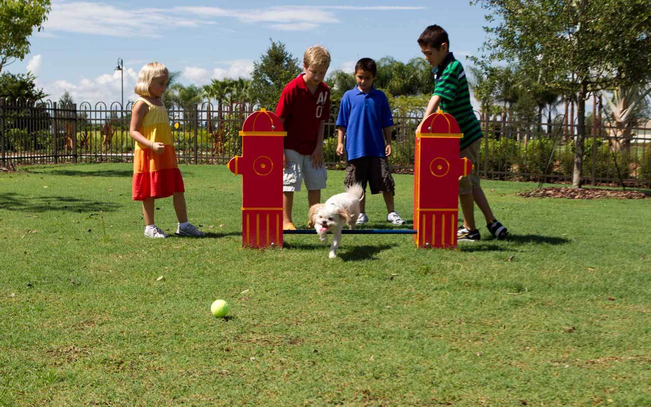Photo of Central Park in Lakewood Ranch, FL 34211