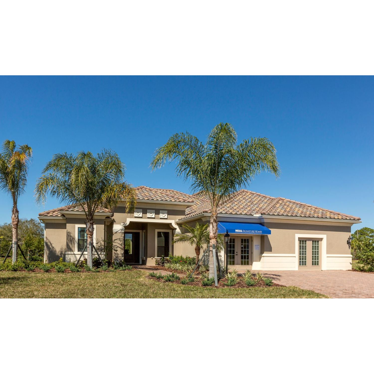 Photo of Wildgrass in Sarasota, FL 34241
