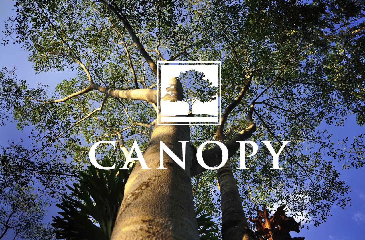 Photo of Canopy in Naples, FL 34120