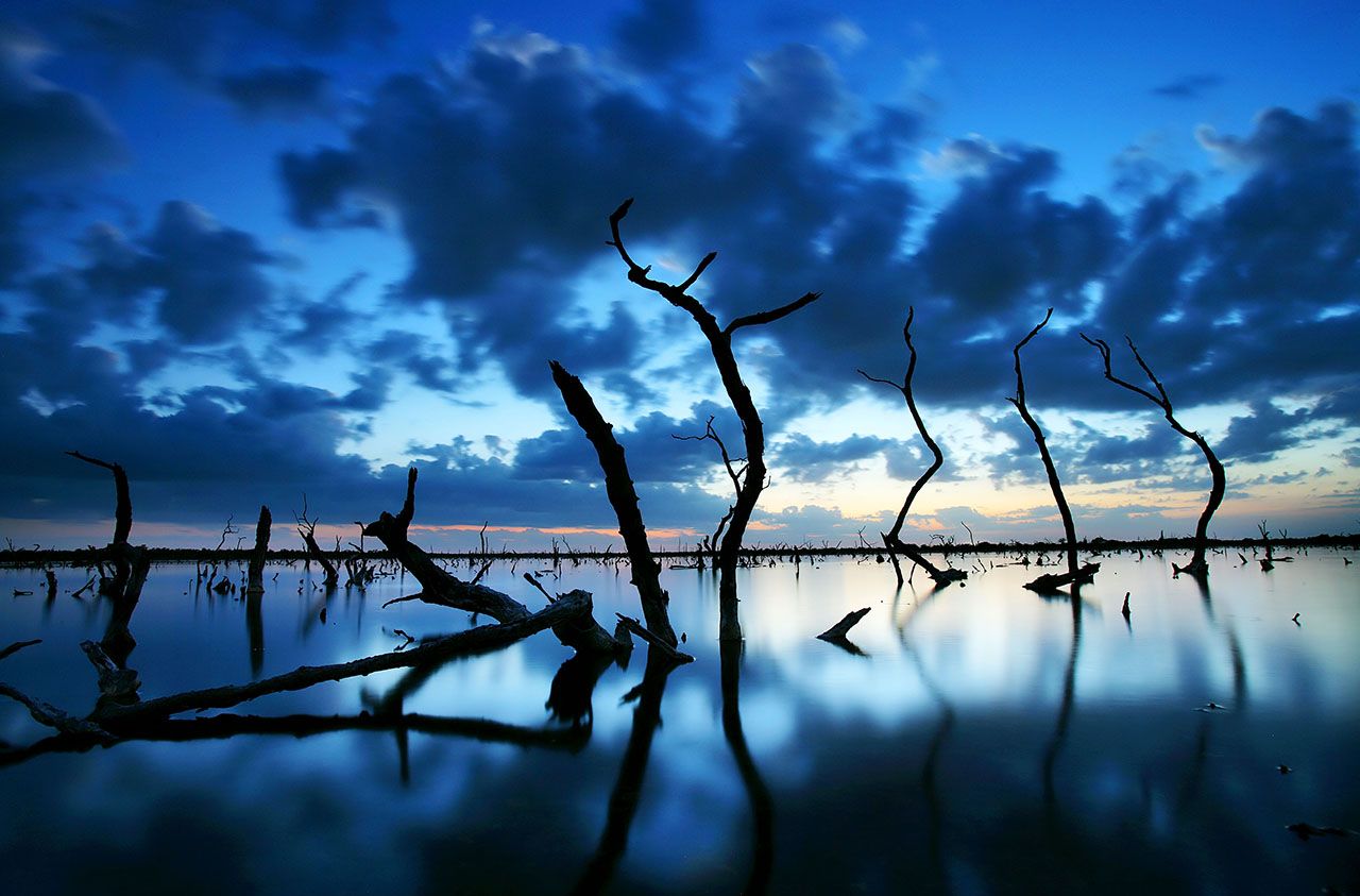 Photo of Coastal Key in Fort Myers, FL 33908
