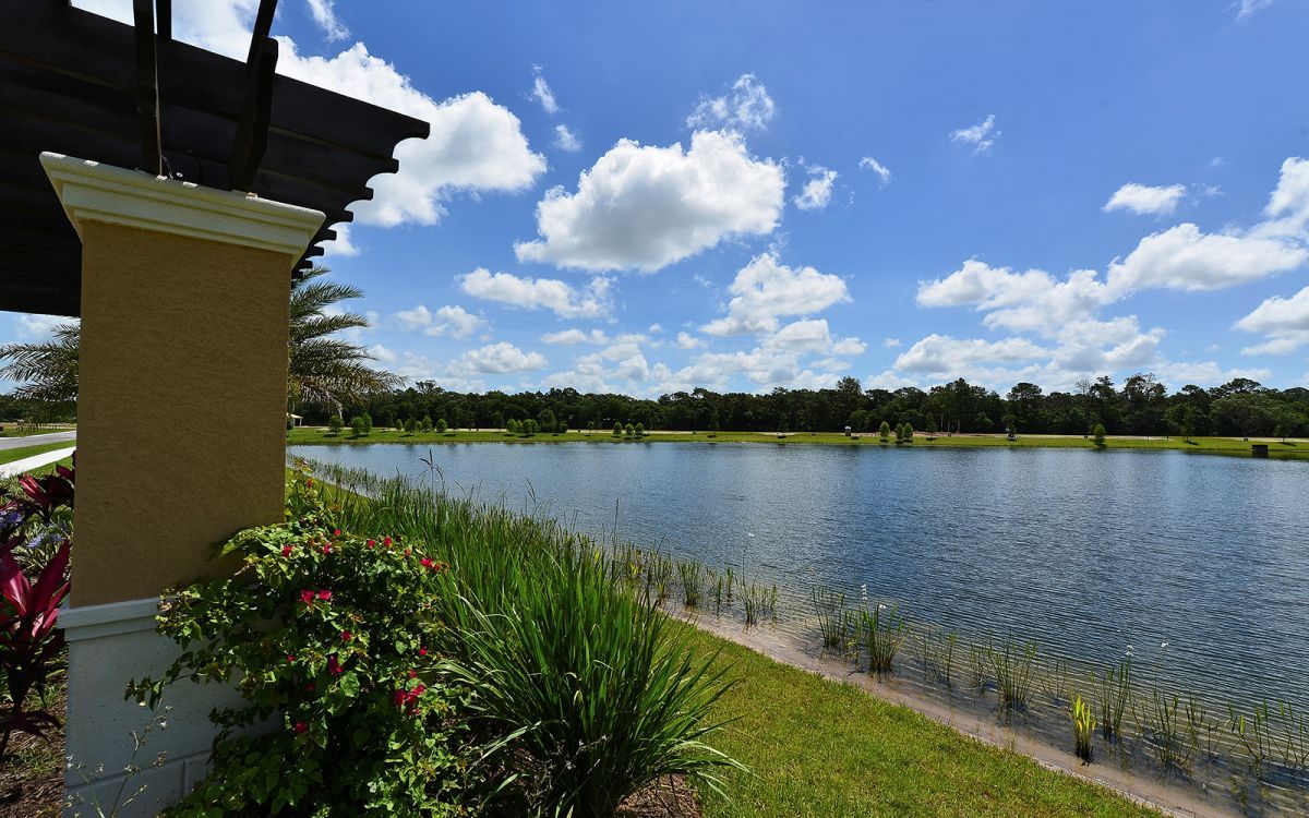 Photo of Wildgrass in Sarasota, FL 34241