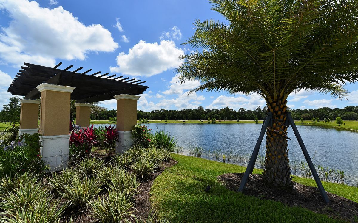 Photo of Wildgrass in Sarasota, FL 34241